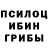 Галлюциногенные грибы Psilocybe Alexander Blaiz