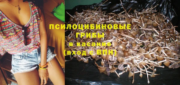 MESCALINE Баксан