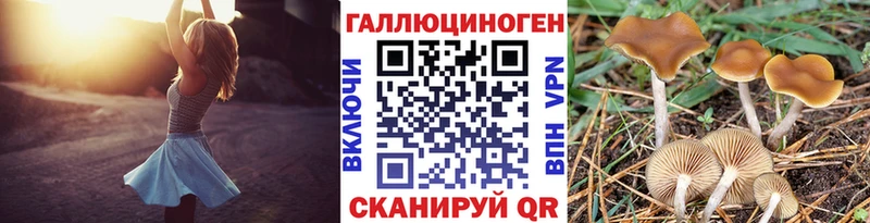 где купить наркоту  Тихвин  Галлюциногенные грибы мицелий 