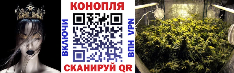 blacksprut ссылки  Тихвин  Шишки марихуана Ganja  наркошоп 